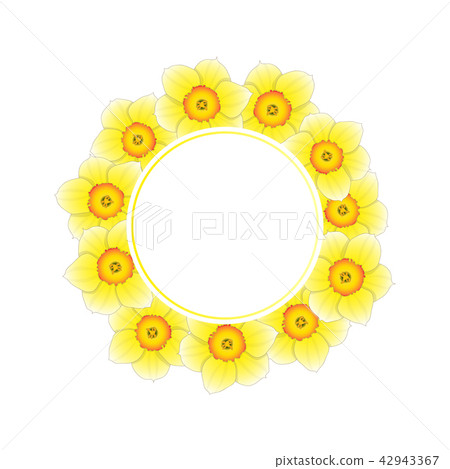 Yellow Daffodil - Narcissus Flower Banner Wreath Yellow Daffodil - Narcissus Flower Banner Wreath 42943367