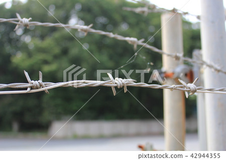 Barbed wire Barbed wire 42944355