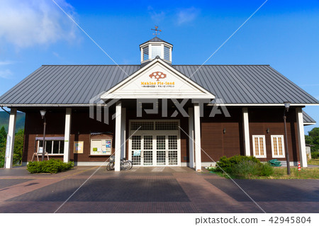 Makino Pickland水杉Namiki 42945804