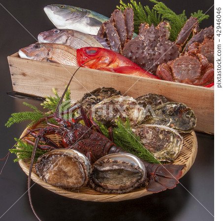 Luxury fish collection Luxury fish collection 42946046