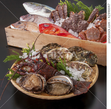 豪華魚類收藏 42946047