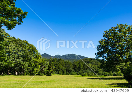 (青森縣 - 景觀)觀光景點·Kayano Chaya高原4 (青森縣 - 景觀)觀光景點·Kayano Chaya高原4 42947609