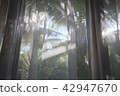 Rooms in Thai resort hotel 42947670