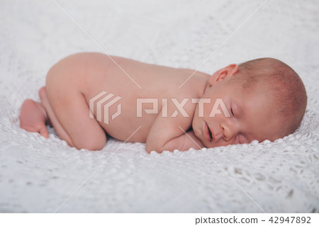 Portrait of newborn baby on a white background. 42947892
