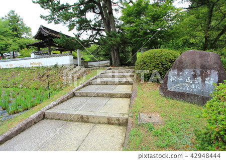 Taketsukoin Matsudaira Township豐田市 Taketsukoin Matsudaira Township豐田市 42948444