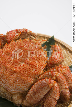 北海道的美味螃蟹 北海道的美味螃蟹 42948999
