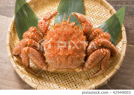 Delicious crab of Hokkaido 42949003