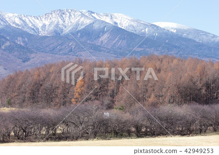 Shinjuku of Shinshu, a magnificent view of Yatsugatake from the forest of Nagamaki village in Nagano Prefecture 42949253
