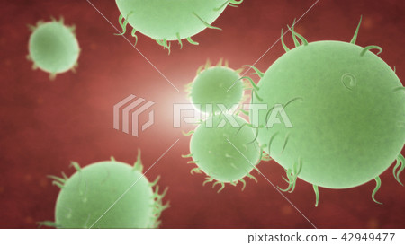 Bacteria spread inside the body 42949477