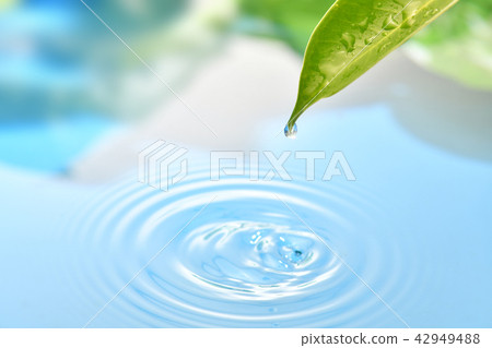 Water droplets 42949488