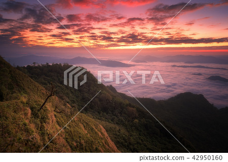 Mountain view at Phu chee dao hill in Chiangrai Mountain view at Phu chee dao hill in Chiangrai 42950160