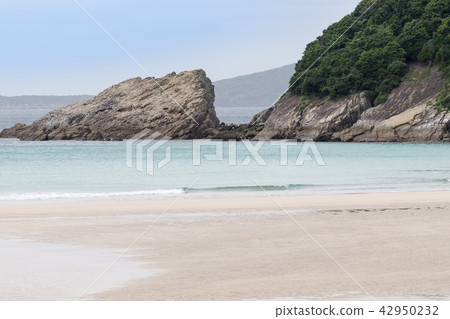 高濱海灘 高濱海灘 42950232
