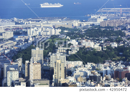 The streets of Yokohama Yamatecho and the diamond princess south of Tokyo Bay The streets of Yokohama Yamatecho and the diamond princess south of Tokyo Bay 42950472