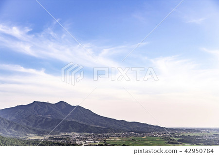 Tsukuba大學筑波 42950784