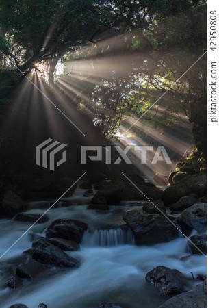 Light Falls Waterfall 42950808