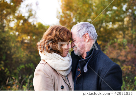 Senior couple in love in an autumn nature, touching noses. Senior couple in love in an autumn nature, touching noses. 42951835