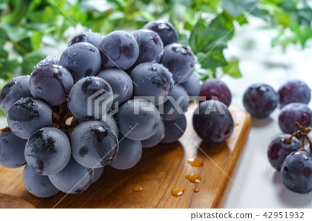 葡萄 葡萄 42951932