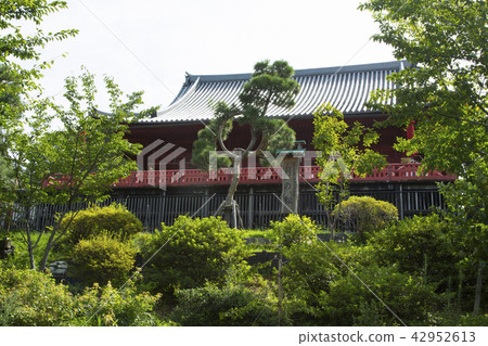 East Hizyama Kanonoji Shimizu Kannondo's "Pine of the Moon" 42952613