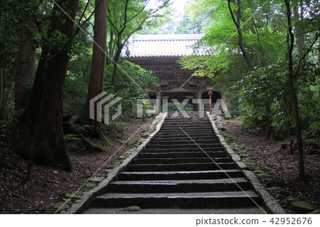 [Shikoku 36 Fudo Sacred Ground] No. 22 Saijo City, Ehime Prefecture, the gate of Nishiyama Koryuji Temple and the stone steps of the approach 42952676