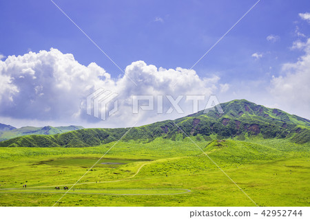 Beautiful grass of Aso Senriigahama Beautiful grass of Aso Senriigahama 42952744