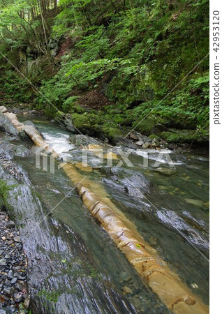 Shinshu Tatsuno Town Yagakawa Valley的Serpent Stone侵入性侵入乾坑國家指定的自然紀念碑 Shinshu Tatsuno Town Yagakawa Valley的Serpent Stone侵入性侵入乾坑國家指定的自然紀念碑 42953120