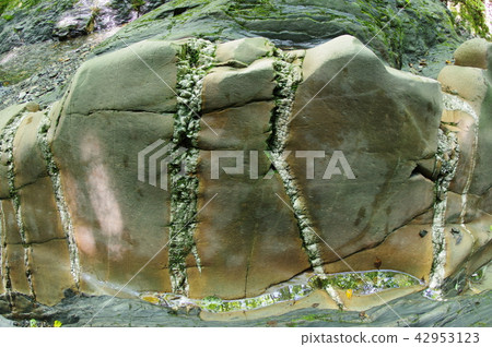 Shinshu Tatsuno Town Yagakawa Valley's Serpent Stone Intrusive Intrusive Dry Pit Country Designated Natural Monument 42953123