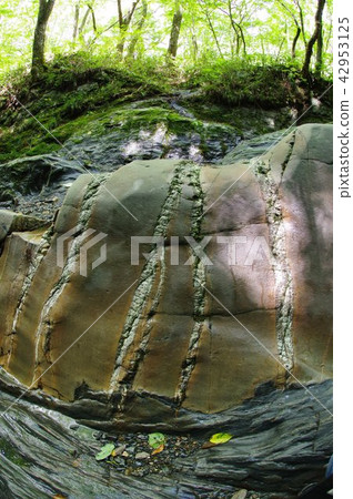 Shinshu Tatsuno Town Yagakawa Valley的Serpent Stone侵入性侵入乾坑國家指定的自然紀念碑 42953125