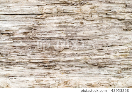 Wood grain background Wood grain background 42953268