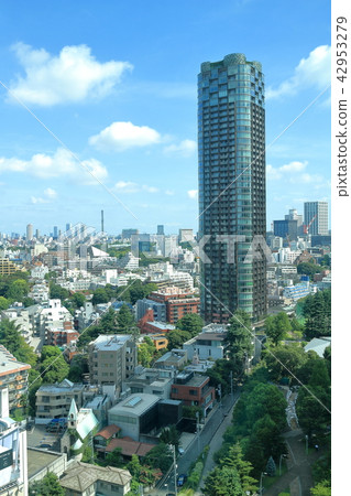 六本木東京中城六本木7丁目 42953279