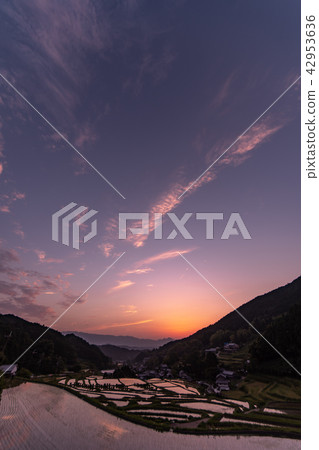 奈良明日香村的水稻大陽台水彩 42953636