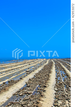 青島神社鬼臉洗衣板[宮崎縣宮崎市] 42953872