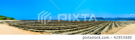 Aoshima Shrine Oni's Washboard Panorama [Miyazaki City, Miyazaki Prefecture] 42953880