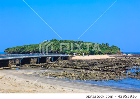 Aoshima Shrine Oni's Washboard and Yayoi Bridge [Miyazaki City, Miyazaki Prefecture] 42953910