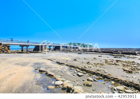 Aoshima Shrine Oni's Washboard and Yayoi Bridge [Miyazaki City, Miyazaki Prefecture] 42953911