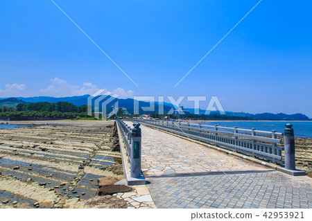 Aoshima Shrine Oni's Washboard and Yayoi Bridge [Miyazaki City, Miyazaki Prefecture] 42953921