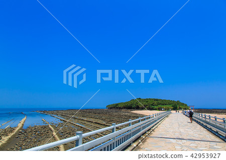 青島神社鬼衣的洗衣板和彌生橋[宮崎縣宮崎市] 42953927