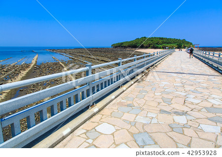 Aoshima Shrine Oni's Washboard and Yayoi Bridge [Miyazaki City, Miyazaki Prefecture] 42953928