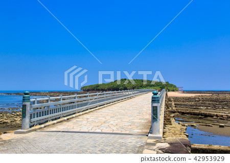 Aoshima Shrine Oni's Washboard and Yayoi Bridge [Miyazaki City, Miyazaki Prefecture] 42953929