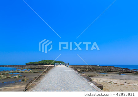 Aoshima Shrine Oni's Washboard and Yayoi Bridge [Miyazaki City, Miyazaki Prefecture] 42953931