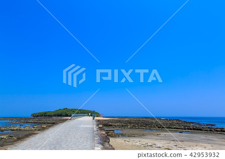 Aoshima Shrine Oni's Washboard and Yayoi Bridge [Miyazaki City, Miyazaki Prefecture] 42953932