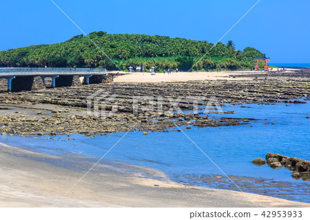 Aoshima Shrine Oni's Washboard and Yayoi Bridge [Miyazaki City, Miyazaki Prefecture] 42953933