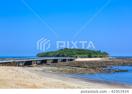 Aoshima Shrine Oni's Washboard and Yayoi Bridge [Miyazaki City, Miyazaki Prefecture] 42953934
