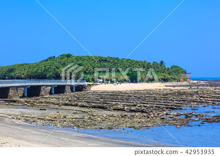 Aoshima Shrine Oni's Washboard and Yayoi Bridge [Miyazaki City, Miyazaki Prefecture] 42953935