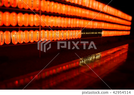 全光最南端的節日 全光最南端的節日 42954514