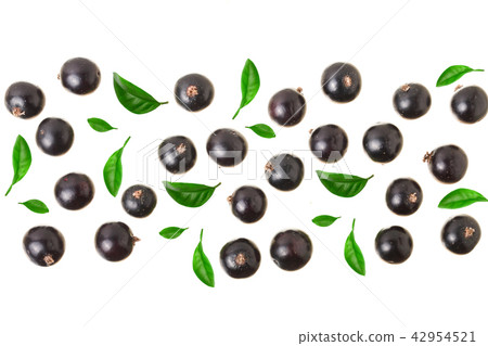 black currant isolated on white background with copy space for your text. Top view. Flat lay pattern 42954521