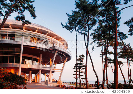 Dongbaek island Norimaru APEC House, Busan Dongbaek island Norimaru APEC House, Busan 42954569