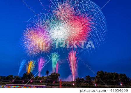 第59屆煙花節 42954699