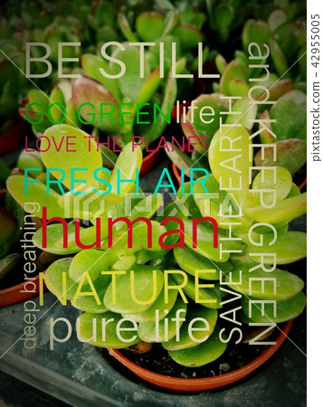 words with green little plant as background words with green little plant as background 42955005