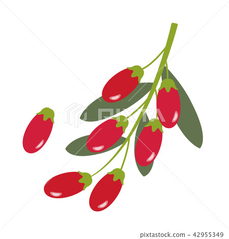 Healthy organic goji berry 42955349
