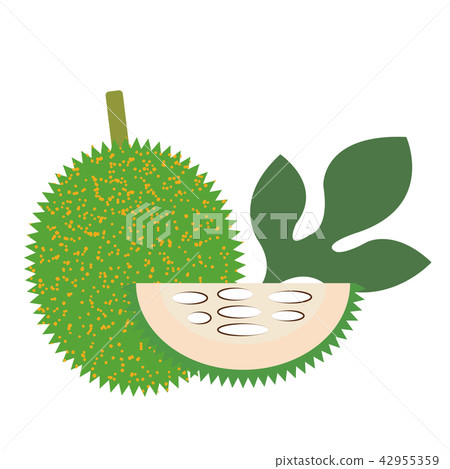 Healthy organic green gac fruit 42955359